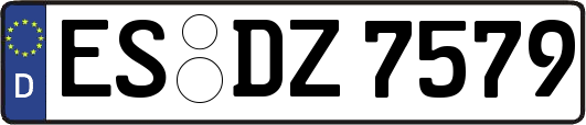 ES-DZ7579
