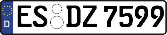 ES-DZ7599