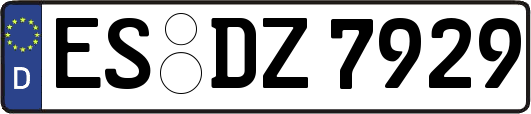 ES-DZ7929