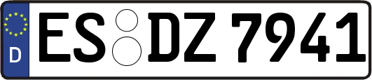 ES-DZ7941