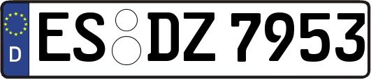 ES-DZ7953