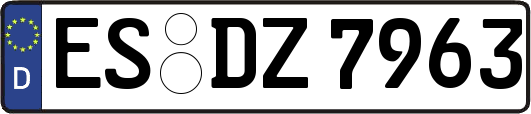 ES-DZ7963