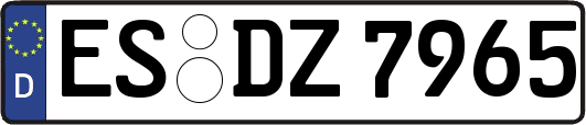 ES-DZ7965