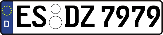 ES-DZ7979