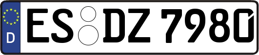 ES-DZ7980