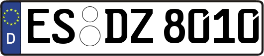 ES-DZ8010