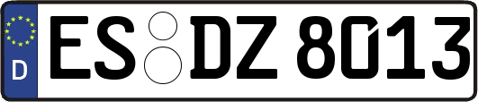 ES-DZ8013