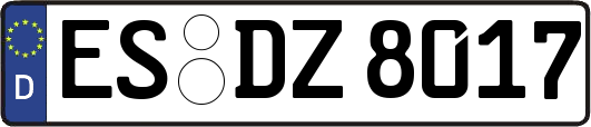 ES-DZ8017