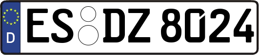 ES-DZ8024