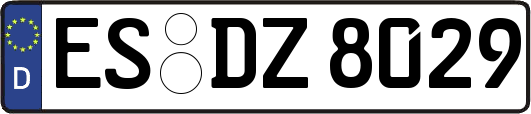 ES-DZ8029