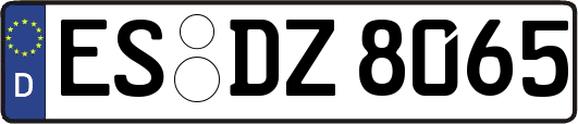 ES-DZ8065