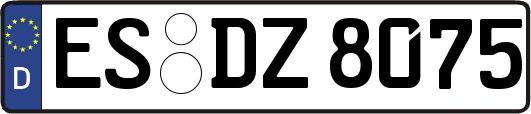 ES-DZ8075