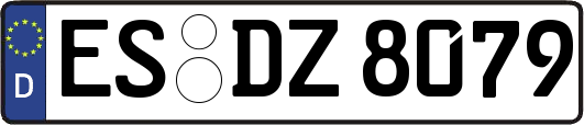 ES-DZ8079