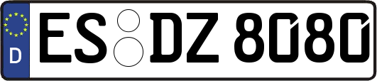 ES-DZ8080