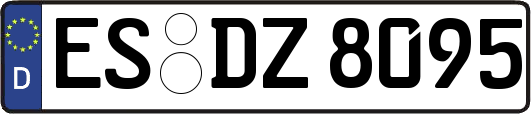 ES-DZ8095