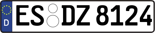 ES-DZ8124