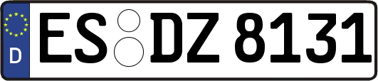 ES-DZ8131