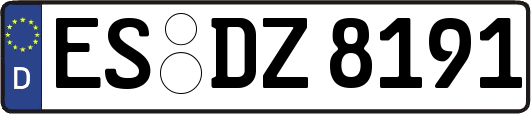 ES-DZ8191
