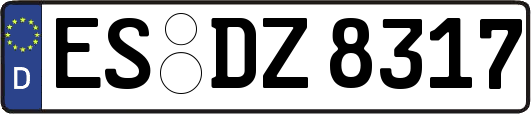 ES-DZ8317