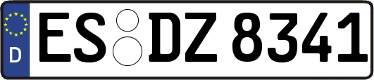 ES-DZ8341