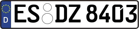 ES-DZ8403
