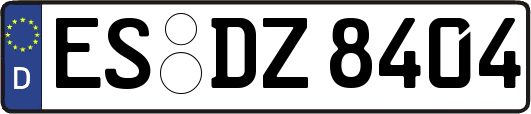 ES-DZ8404
