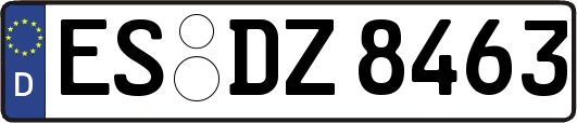 ES-DZ8463