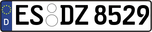 ES-DZ8529