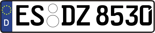 ES-DZ8530