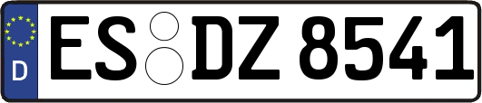 ES-DZ8541