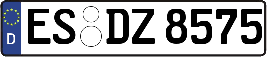 ES-DZ8575