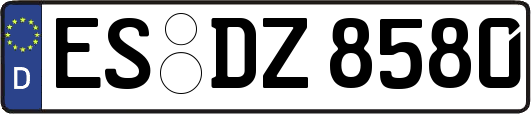 ES-DZ8580