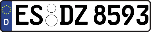 ES-DZ8593
