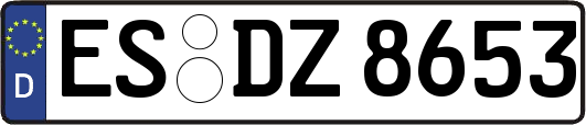ES-DZ8653