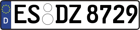 ES-DZ8729