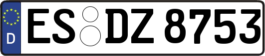 ES-DZ8753