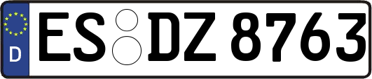 ES-DZ8763