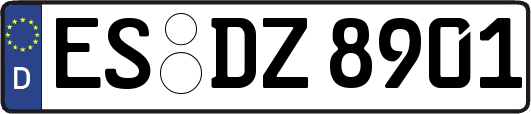 ES-DZ8901