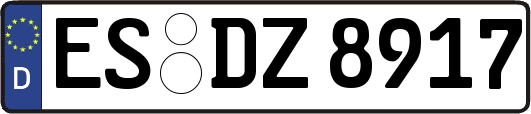 ES-DZ8917