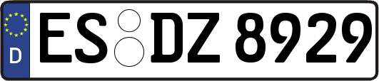 ES-DZ8929