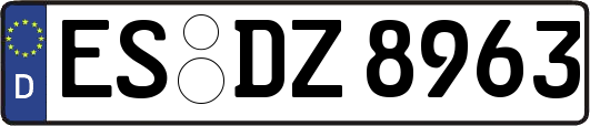 ES-DZ8963