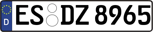 ES-DZ8965