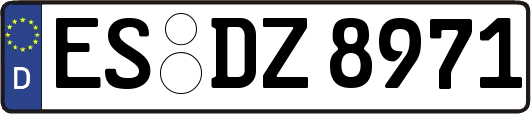 ES-DZ8971