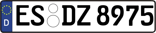 ES-DZ8975