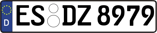 ES-DZ8979