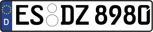 ES-DZ8980