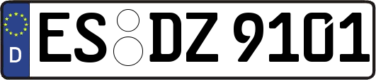 ES-DZ9101