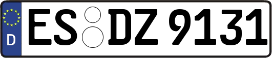 ES-DZ9131