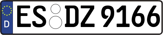 ES-DZ9166