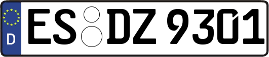ES-DZ9301